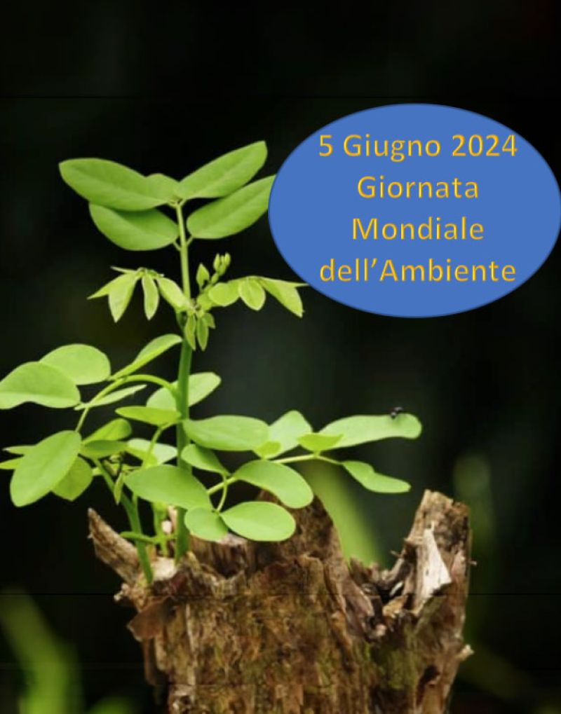 Giornata Mondiale dell’Ambiente (05/06/2024)